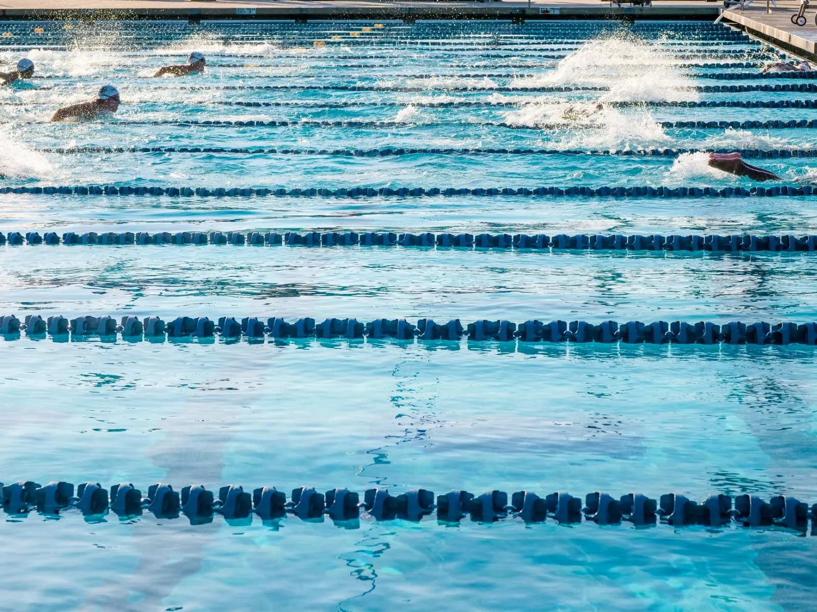 Atleten die in een Olympisch formaat zwembad zwemmen tijdens een race.