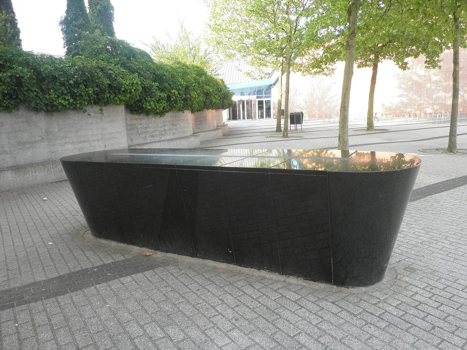Zwembad De Scheg